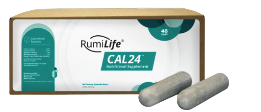 cal24 bolus